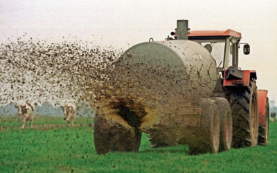 CLEANING ACQUE REFLUE IN ECONOMIA CIRCOLARE