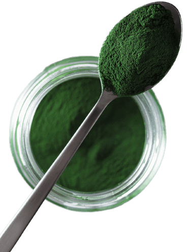 Spirulina_5x5png
